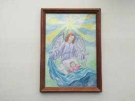 �����������